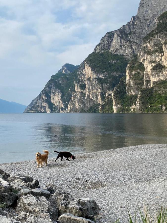 Mutti Stay Apartments Riva del Garda Ngoại thất bức ảnh